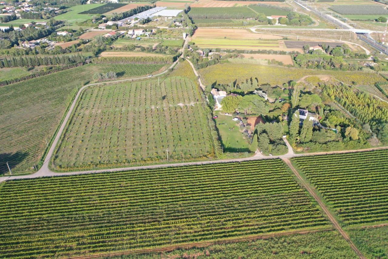 Domaine De La Trinite Montpellier - Aeroport - Plages - Arena - Zenith Saint-Aunes 외부 사진