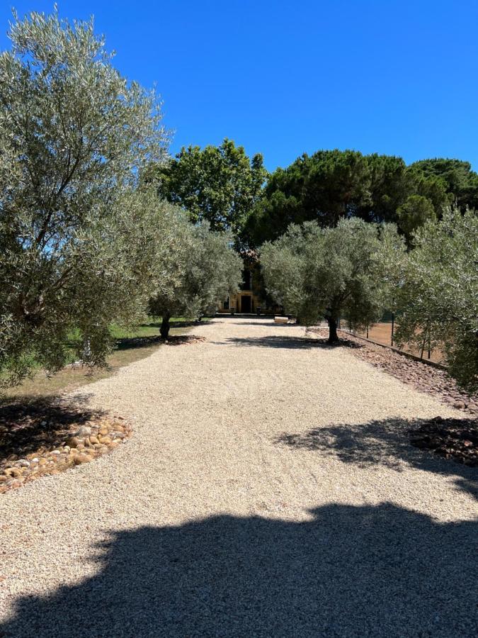 Domaine De La Trinite Montpellier - Aeroport - Plages - Arena - Zenith Saint-Aunes 외부 사진